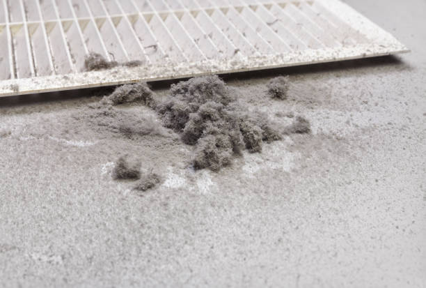 Best Air Duct Cleaning Company Near Me  in Woodsi East, DE