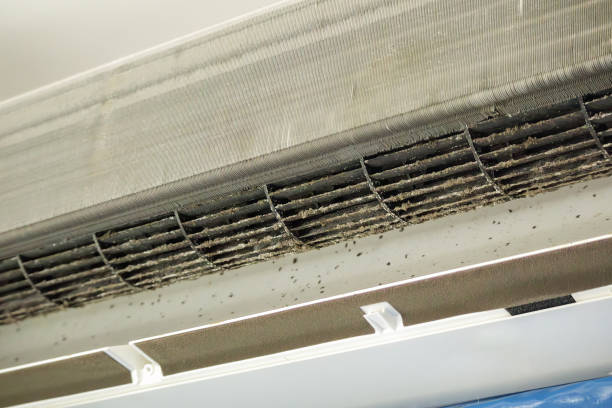 HVAC System Cleaning in DE